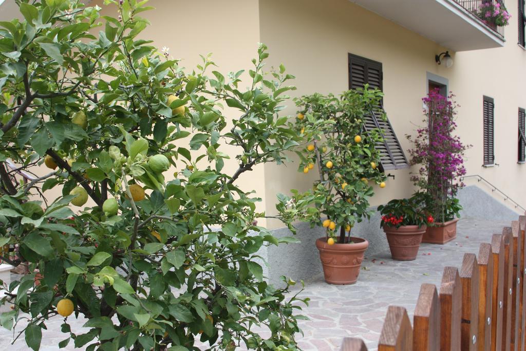 Appartement La Casa Dei Limoni à Matraia Extérieur photo